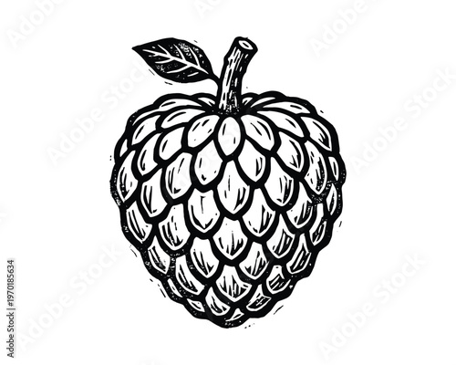 Hand drawn custard apple fruit illustration in black and white style isolated on checkered background
