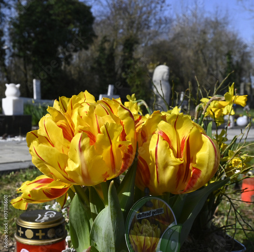 Wallpaper Mural friedhof, grabdekoration Torontodigital.ca