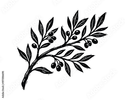 Olive tree branch with fruits berries leaves isolated on background nature plant element vector hand drawn
