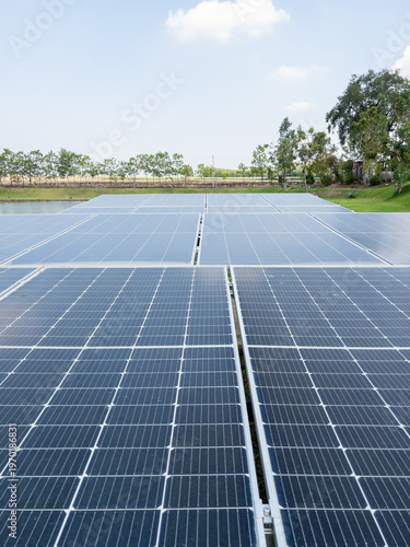 Solar panels in the garden near the pond for sustainable irrigation.