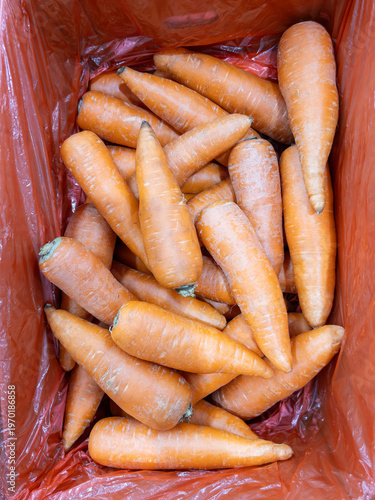 Fresh raw carrots in an orange plastic bag for sale.