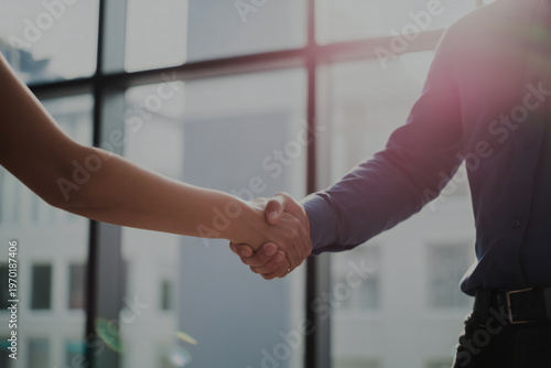 Business partnership a formal handshake seals a deal in a modern office setting