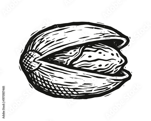 Pistachio nut in shell hand drawn illustration for food menu design project isolated on transparent background