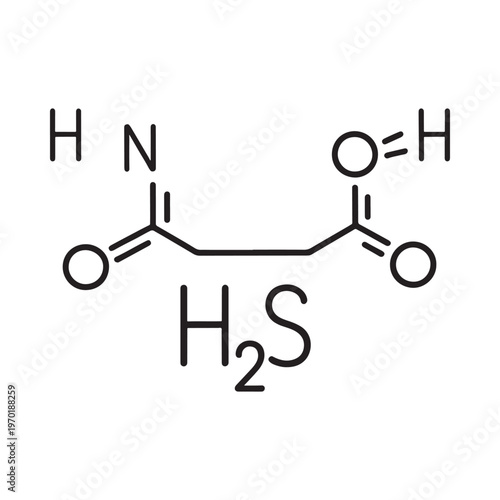 Structural formula of homocysteine showing atoms and chemical bonds