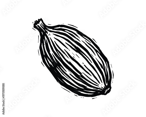 Single cardamom pod with distinctive ridges and seed pod shape, a fragrant spice