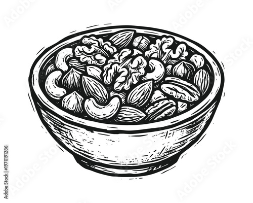 Wooden bowl filled with mixed nuts sketch illustration including walnuts almonds cashews and hazelnuts drawing