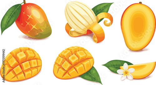 Fresh ripe mango fruit set with whole mango half slices cubes and flower isolated on white background for organic food and tropical design