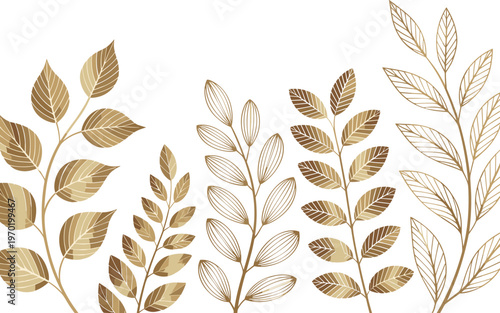 Abstract golden leaves vector on white background.