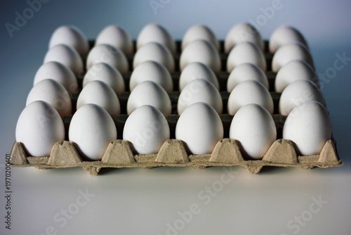 Tray of 30 white eggs on clean white kitchen countertop. Freshness, simplicity and natural light. Concept for Easter holidays and Easter cooking and baking