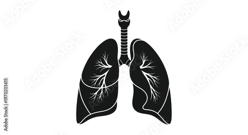 Detailed illustration of human lungs showcasing anatomical structure silhouette