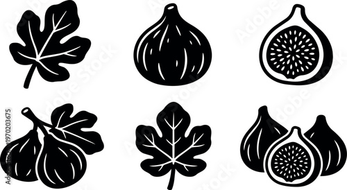 Black and white fig fruit and fig leaf vector art set