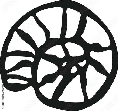 Hand Drawn Nautilus Shell