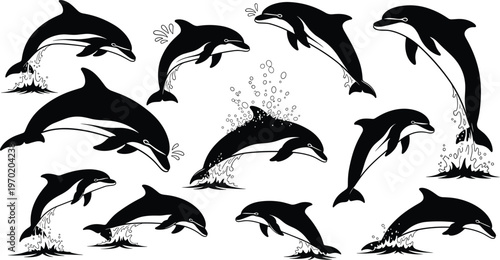 Dolphin silhouettes set, jumping sea animals collection, ocean wildlife illustration, aquatic movement poses, marine life design, flat vector isolated graphic