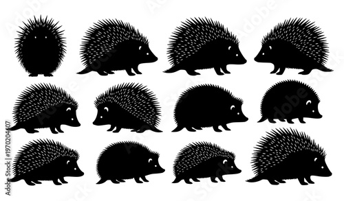 Porcupine and Hedgehog Silhouette Vector Set for Educational Infographic Wildlife Comparison Design