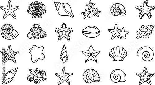 Hand-drawn collection of marine life icons: shells and starfish with illustrations have a simple, sketched aesthetic suitable