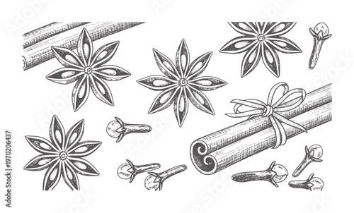 Hand drawn star anise cinnamon sticks and cloves white