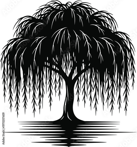 Black silhouette of a weeping willow tree with cascading branches reflected in water