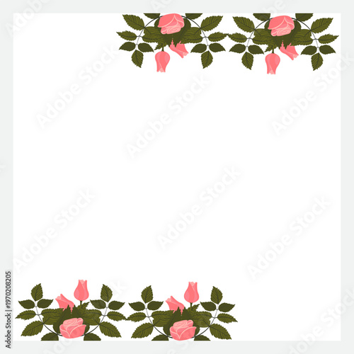 A frame decorated with light pink rose arrangements at the top and bottom edges. Vector illustration isolated on a white background.