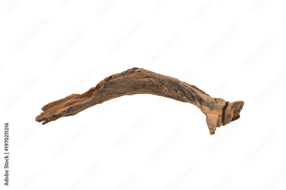 Fototapeta premium Driftwood aged wood isolated on white background. Piece of driftwood driftwood close up for aquarium.