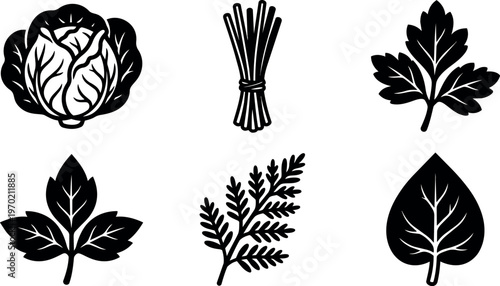 Black and white silhouette vegetable and herb icon set with cabbage and parsley leaf