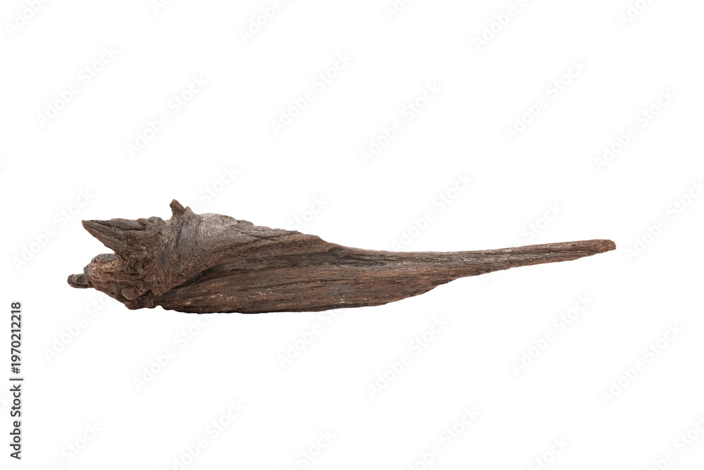 Fototapeta premium Driftwood aged wood isolated on white background. Piece of driftwood driftwood close up for aquarium.
