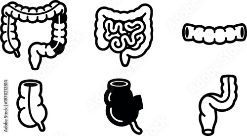 Black and white flat design icons of human intestines and colon anatomy