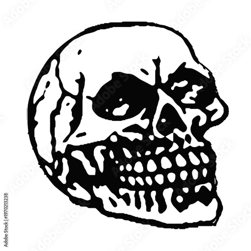 Halloween Skull Illustration A Classic And Iconic Symbol
