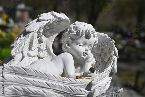 Wallpaper Mural grabengel Torontodigital.ca