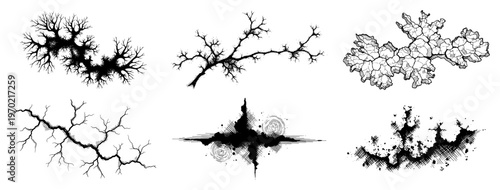 Collection of six vintage woodcut style elements featuring cracks lichen and organic textures