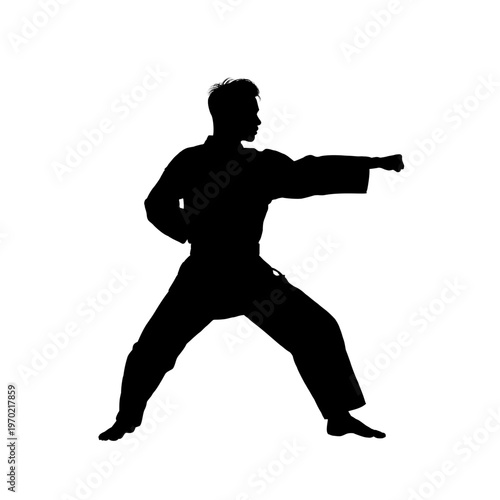 Karate man silhouette in combat stance, vector illustration