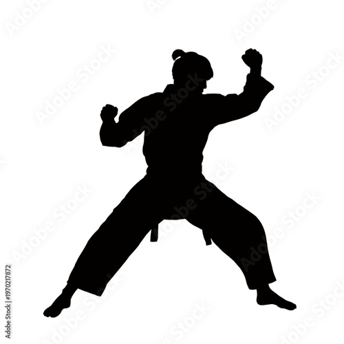 Karate man silhouette in combat stance, vector illustration