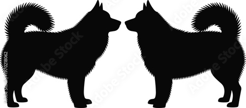 Symmetrical black silhouette of two fluffy husky dogs facing each other, isolated vector illustration for pet care, sled dog, and animal lover design,