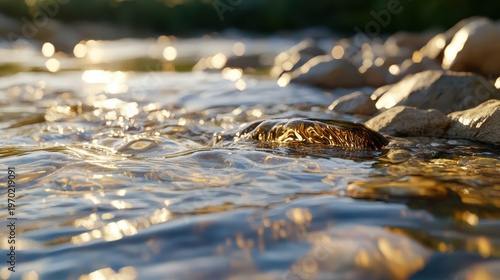 Golden Sunlight Reflecting on Flowing Mountain Stream with Lush Greenery and Rocks