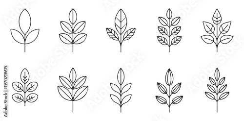 Minimalist branch leaves line art vector set. simple design for nature and botanical element collection