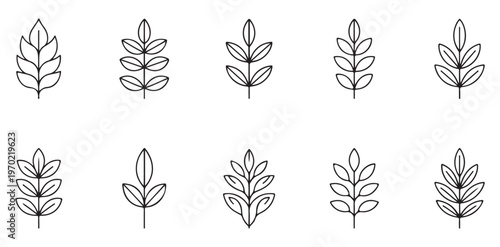Minimalist branch leaves line art vector set. simple design for nature and botanical element collection