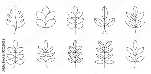 Minimalist branch leaves line art vector set. simple design for nature and botanical element collection