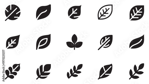 Group of assorted leaf icons simple elegant natural shapes for design projects vector set graphic elements