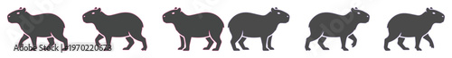 Capybara vector silhouette set, collection of 6 dark grey capybara icons in various walking poses, minimalist wild animal graphics for nature design