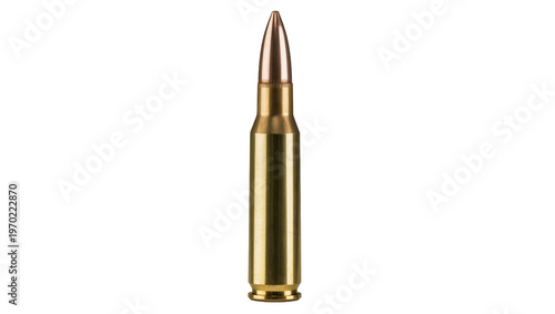 Принти на полотні Isolated modern rifle ammunition cartridge with copper bullet for hunting and ta