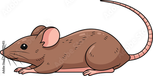 Cartoon mouse vector illustration, cute rodent animal design, brown rat character, flat style, isolated on white background, wildlife concept