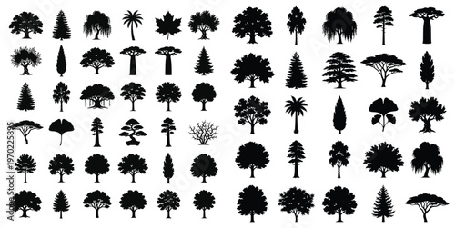 Collection of various tree silhouettes on white background 