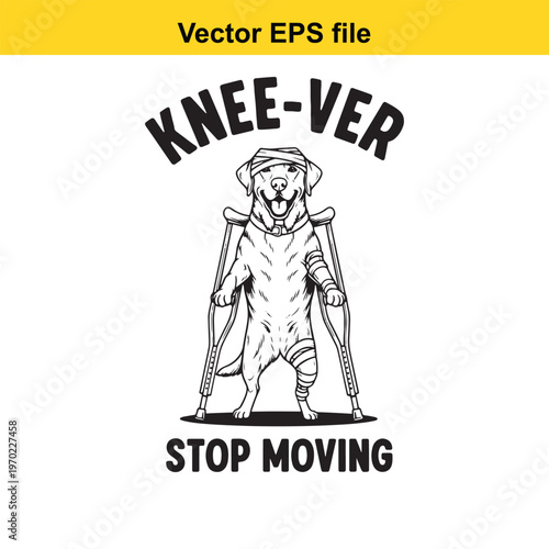 A dog with crutches and a bandaged knee