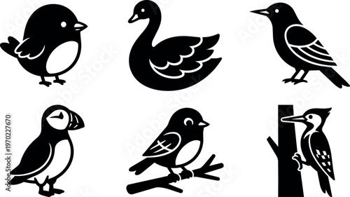 Six different bird silhouettes with distinct wing and beak shapes