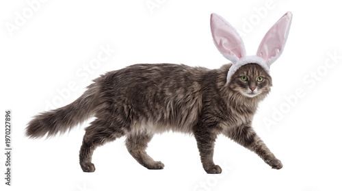 Charming gray domestic cat with bright green eyes wearing soft pink bunny ears.