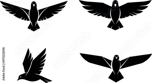 Vector Illustration of Bird Flying with Wings Spread Out in Four Different Poses