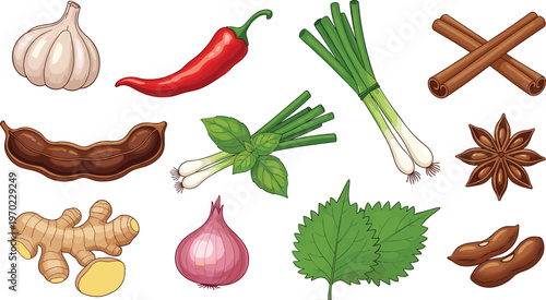 Fresh herbs and spices collection with garlic, chili, ginger, onion, cinnamon, basil and tamarind isolated on white background vector illustration set