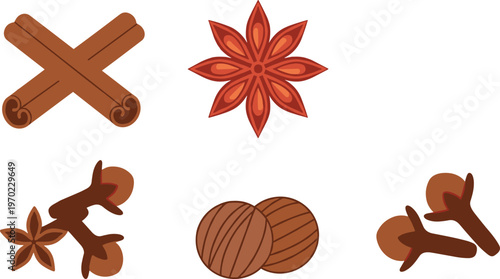 Cinnamon sticks, star anise, cloves and nutmeg spice icons set isolated on white background flat vector illustration collection