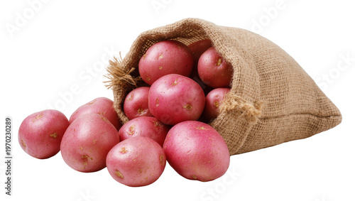 Foto Isolated red potatoes spilling from a rustic burlap sack, fresh organic new harv