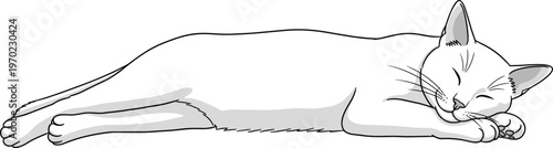 Sleeping cat vector illustration, cute kitten resting pose, peaceful animal nap concept, minimal line art design isolated on white background