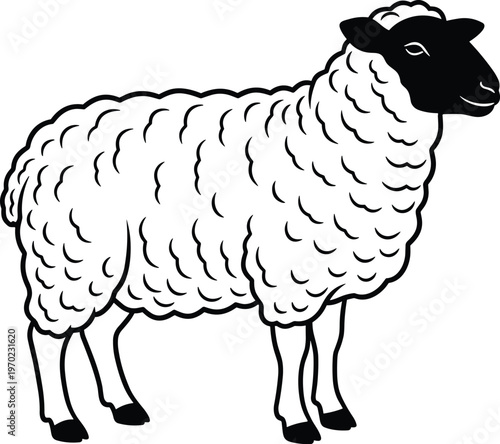 Sheep vector illustration, farm animal livestock design, woolly lamb standing pose, minimal line art style, agriculture concept isolated background